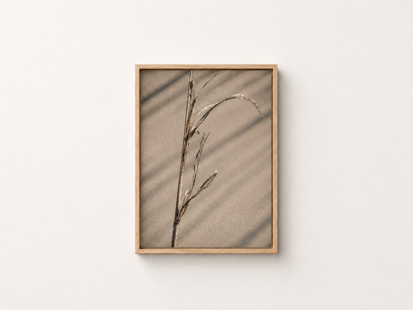 Salt-Worn Reed | Driftline No. 2