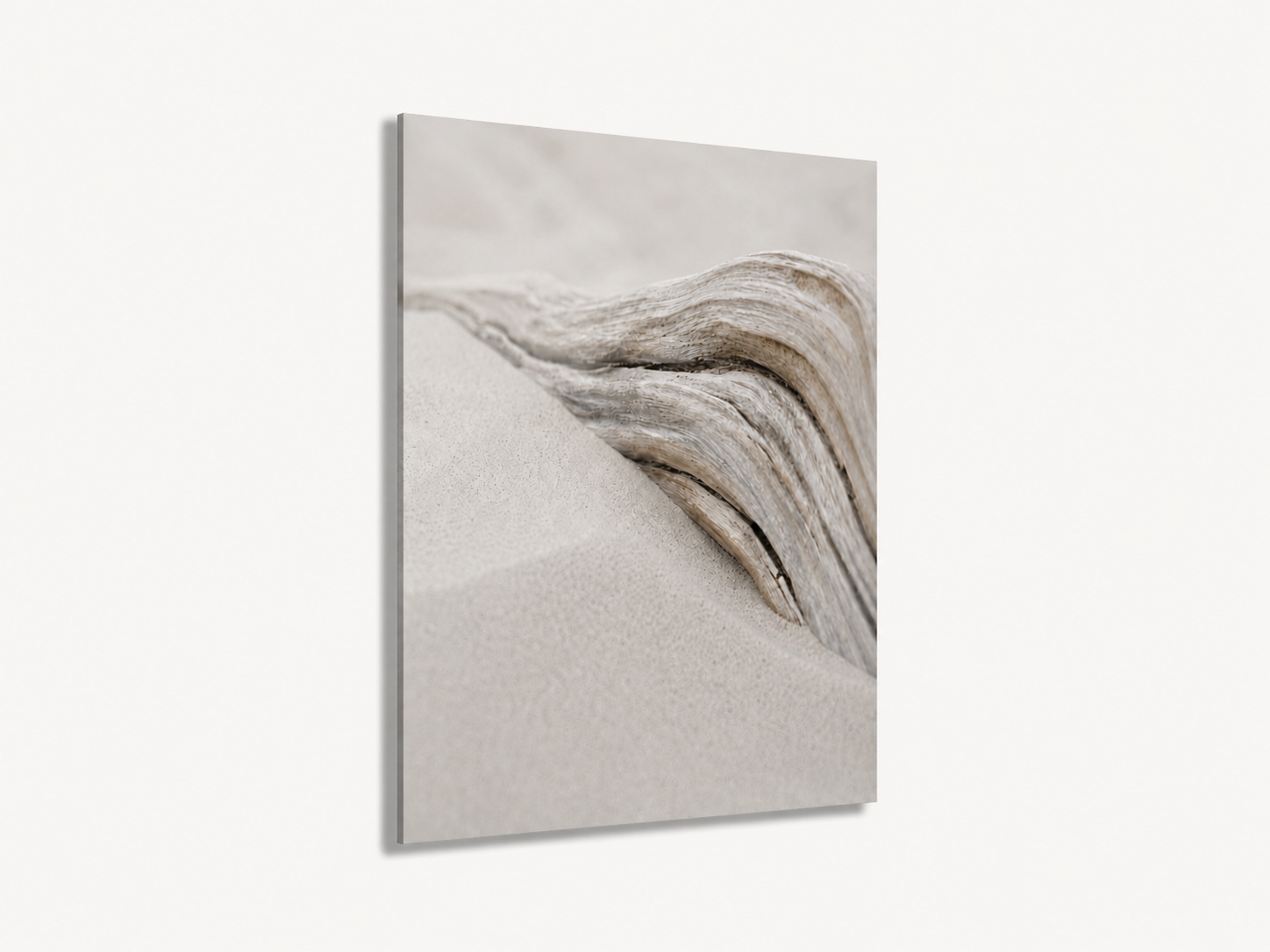 Drift Curve | Dune Light No. 4