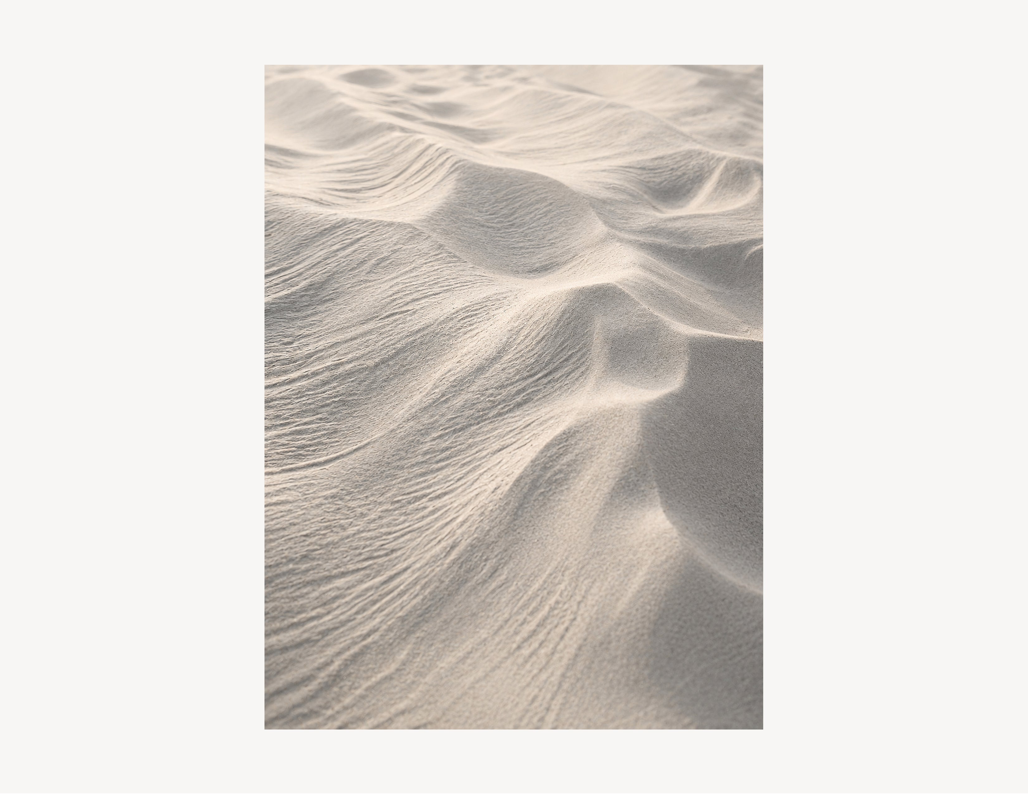 Dune Ripple | Dune Light No. 2