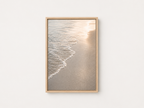 Sunlit Shore | Dune Light No. 1