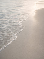 Sunlit Shore | Dune Light No. 1