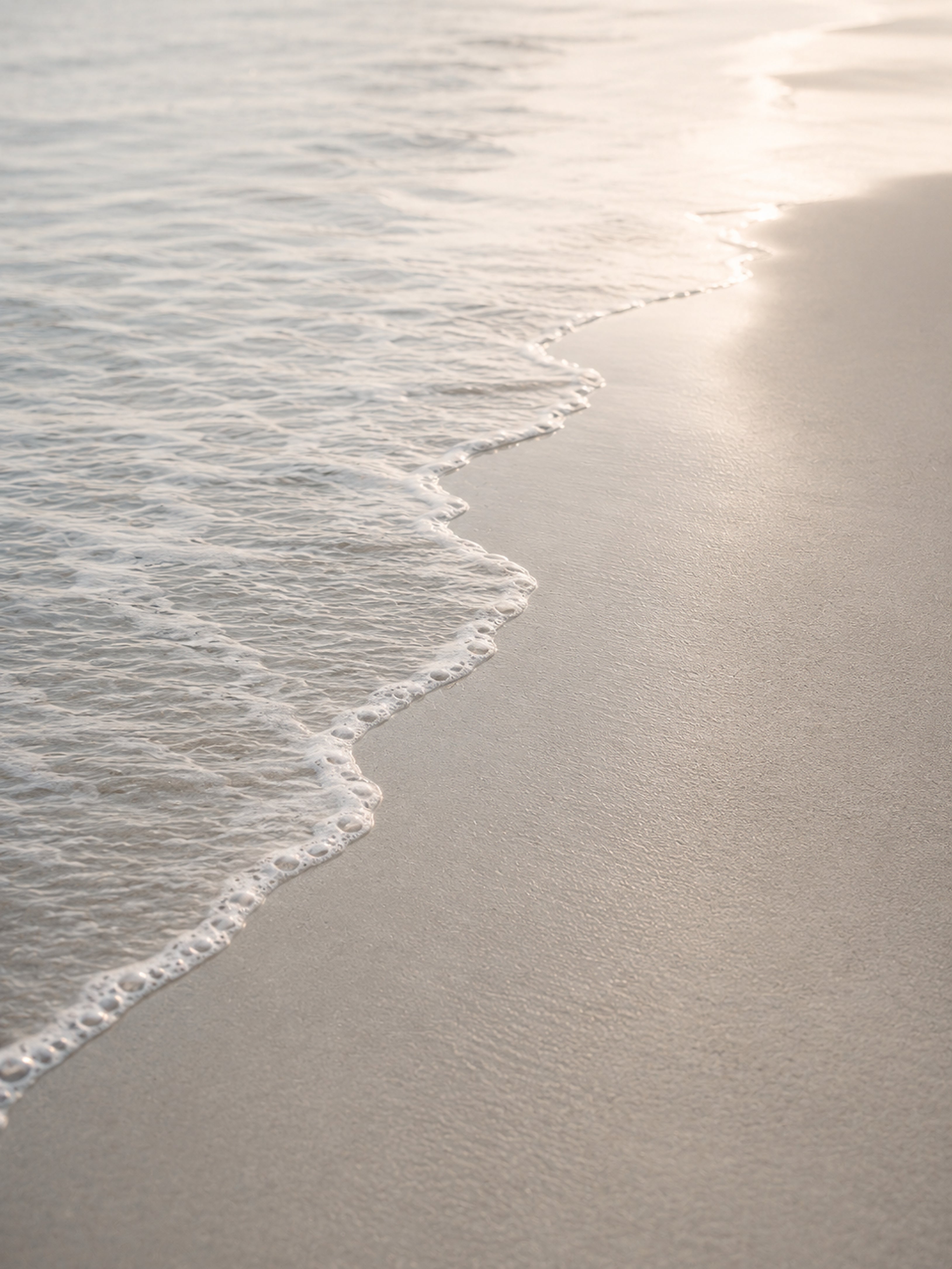 Sunlit Shore | Dune Light No. 1