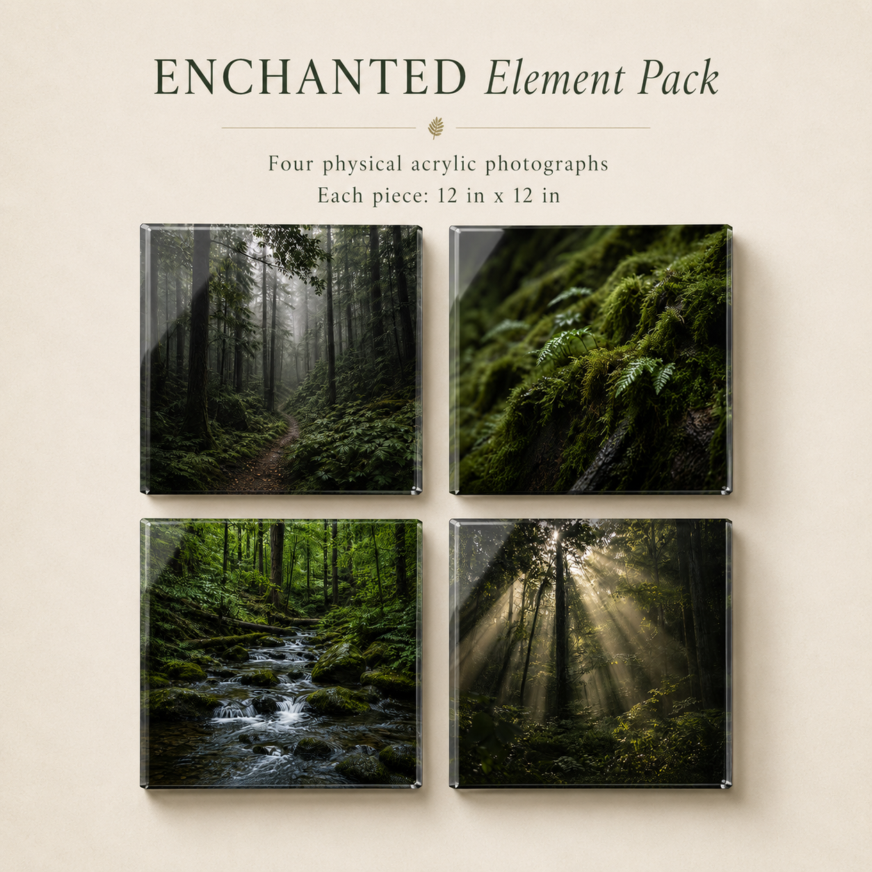 ENCHANTED — 4-Piece Acrylic Forest Wall Art Set