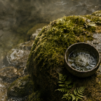 FOREST BATH | 4-Piece Acrylic Forest Wall Art Set