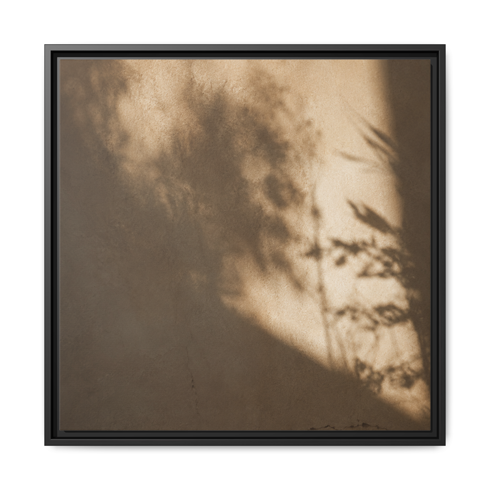 Shadow Dance No. 2 | Framed Canvas Art