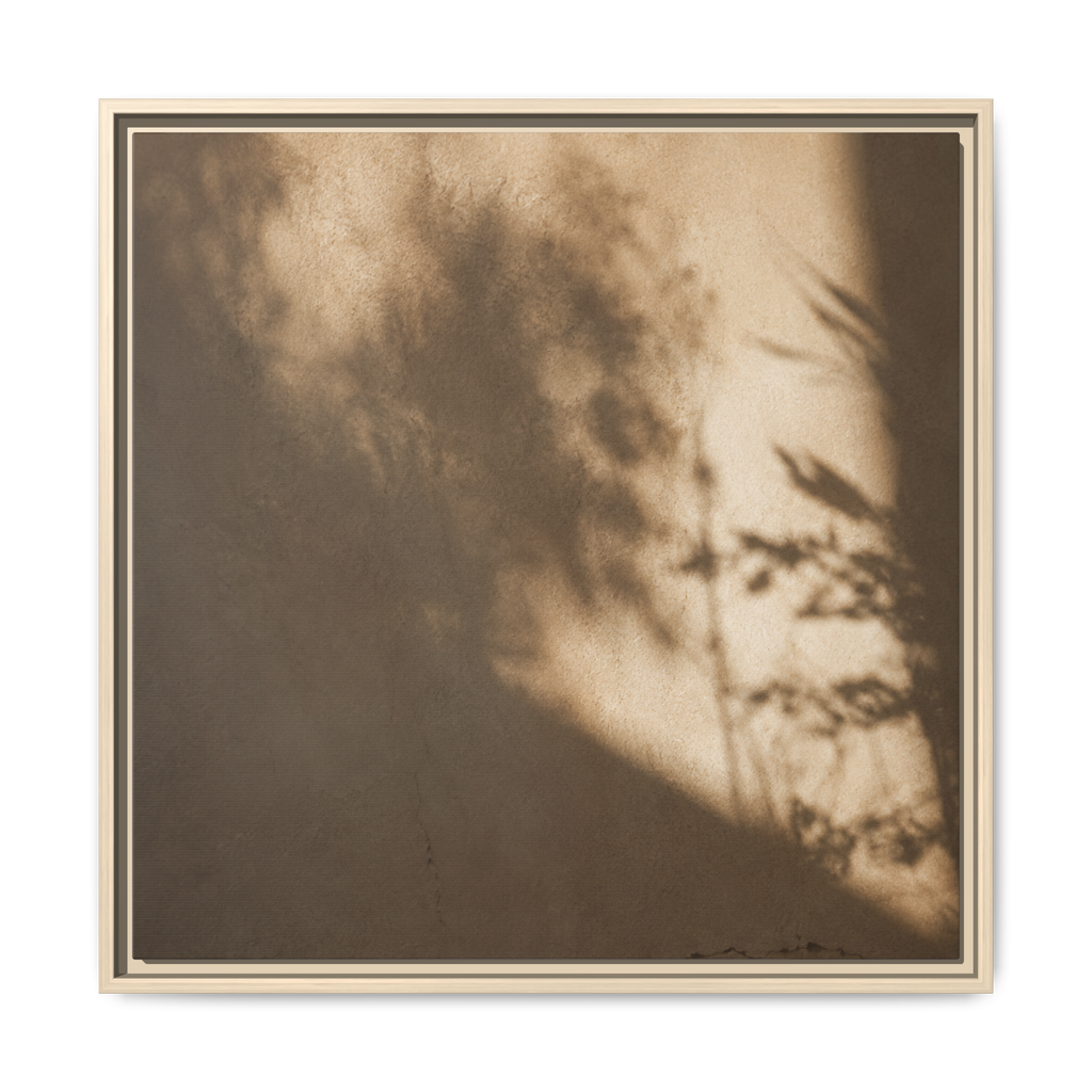 Shadow Dance No. 2 | Framed Canvas Art