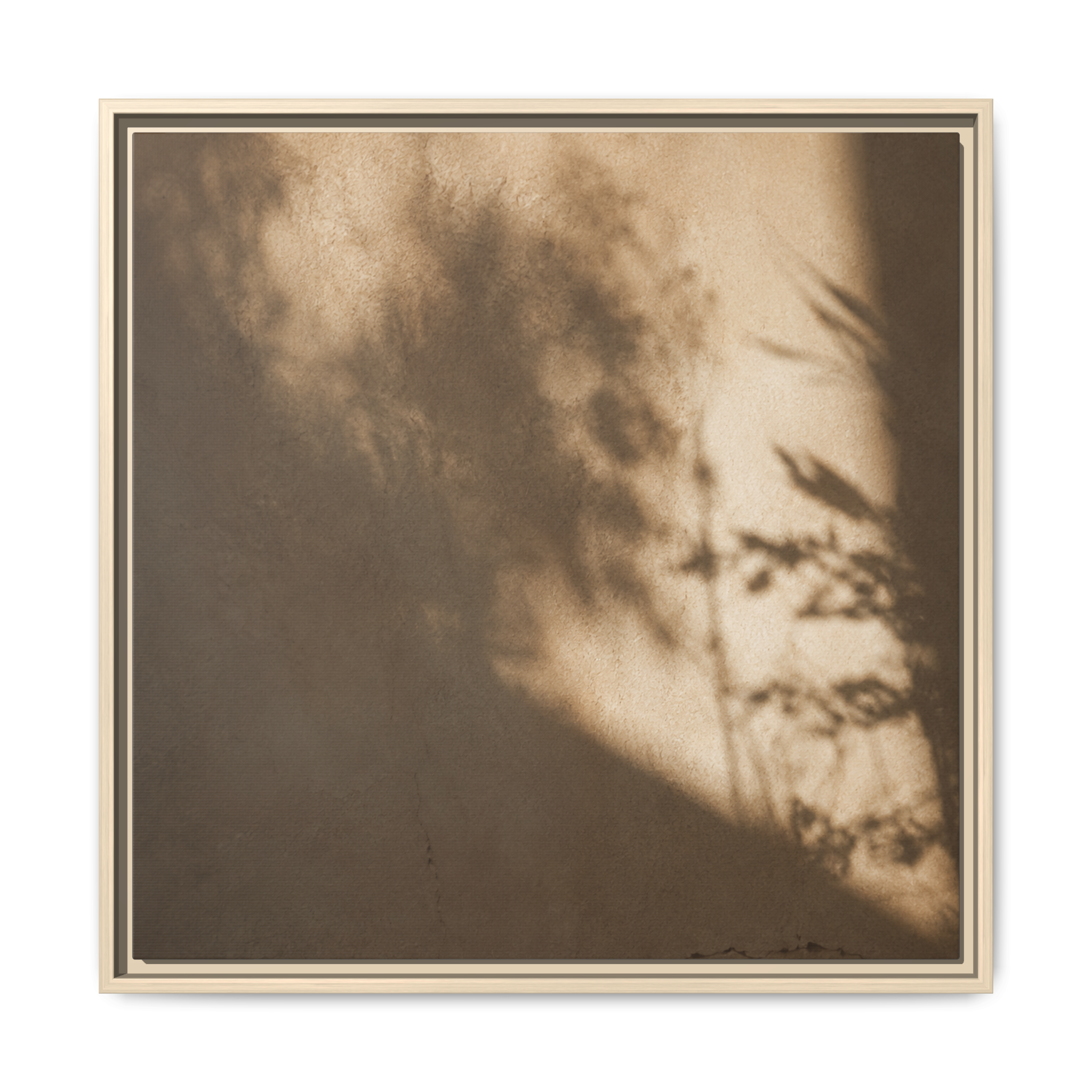 Shadow Dance No. 2 | Framed Canvas Art