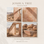 JOSHUA TREE | 4-Piece Desert Relics Acrylic Wall Art Set