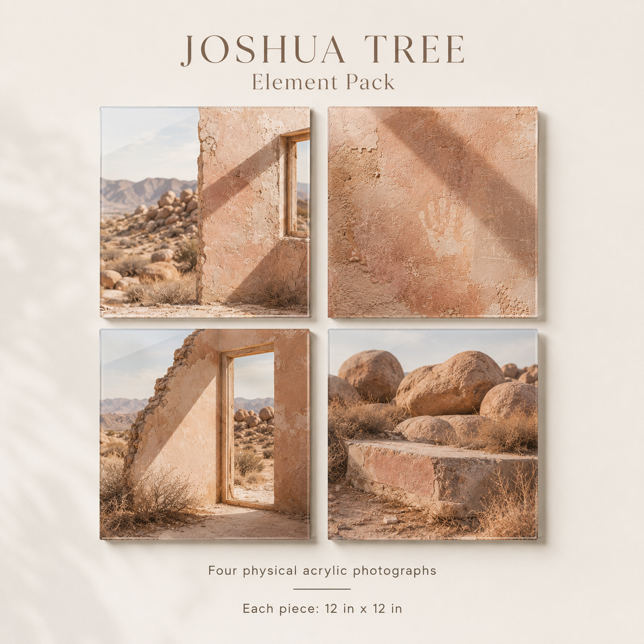 JOSHUA TREE | 4-Piece Desert Relics Acrylic Wall Art Set