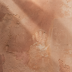 JOSHUA TREE | Desert Relics Element Pack