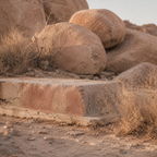 JOSHUA TREE | Desert Relics Element Pack
