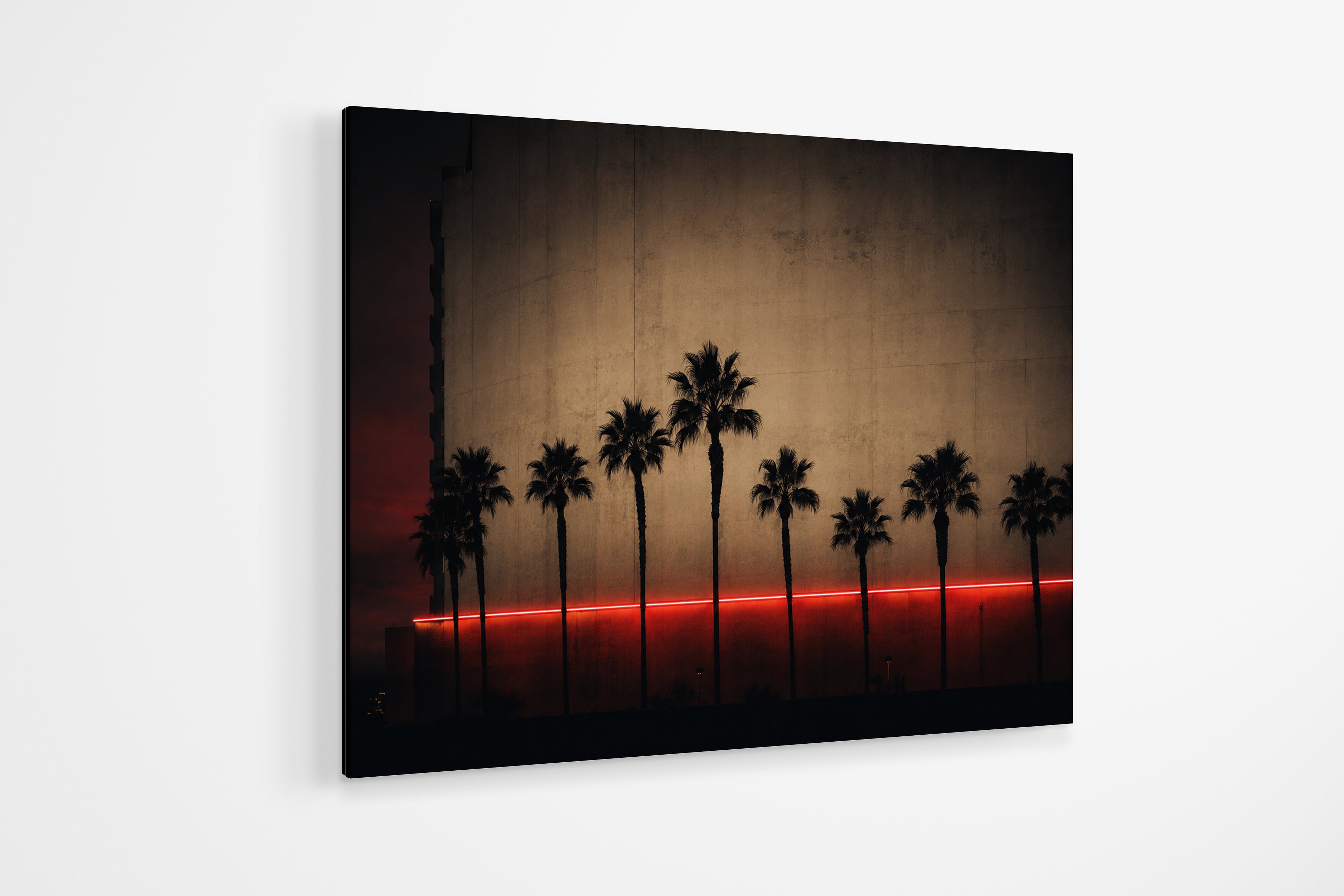 Not Your Average Palms | Las Vegas No. 01