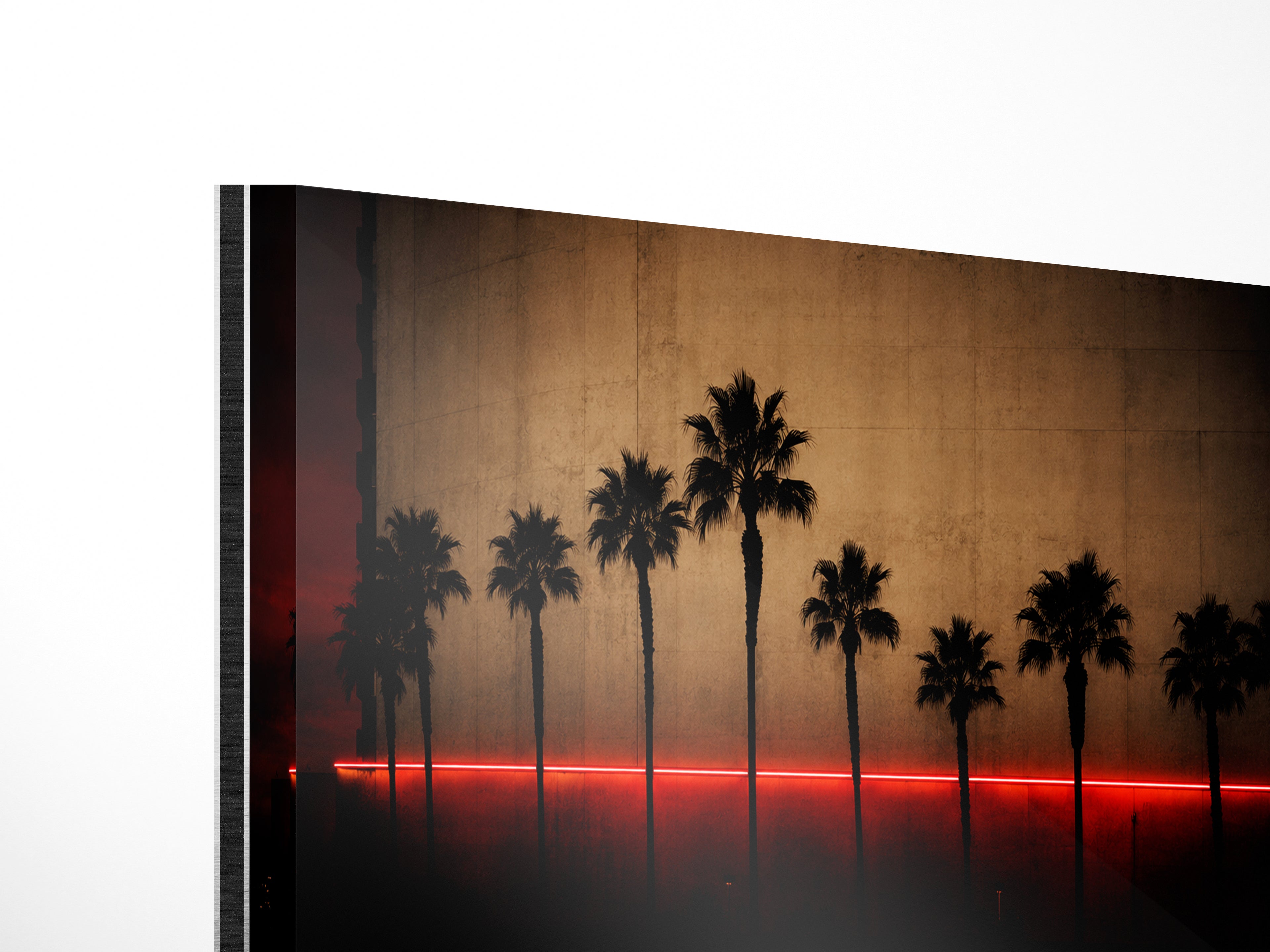 Not Your Average Palms | Las Vegas No. 01