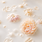 MILK BATH | 4-Piece Acrylic Spa Wall Art Set