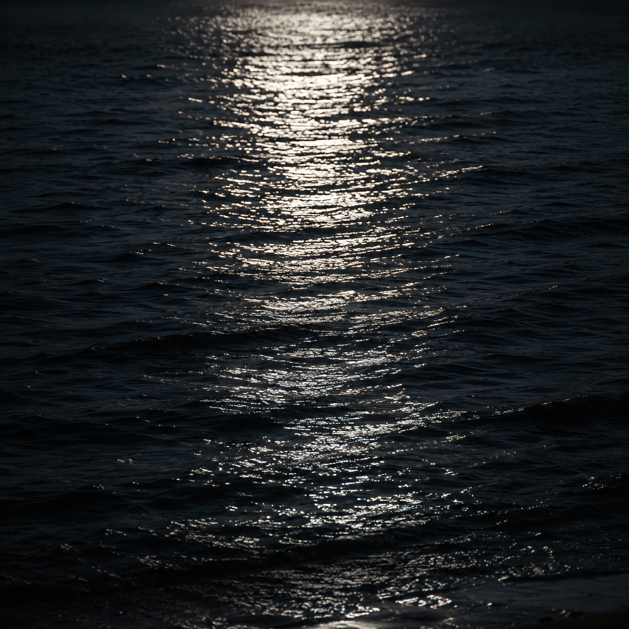 NOCTURNE | Moonlight Element Pack