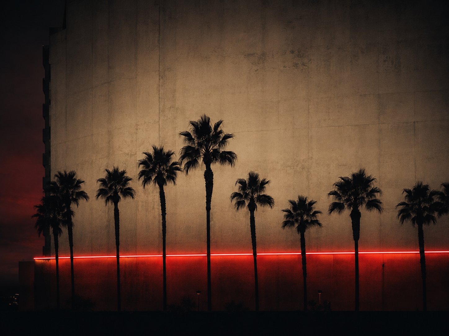 Not Your Average Palms | Las Vegas No. 01