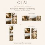 OJAI | 4-Piece Golden Valley Acrylic Wall Art Set