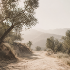 OJAI | Golden Valley Element Pack