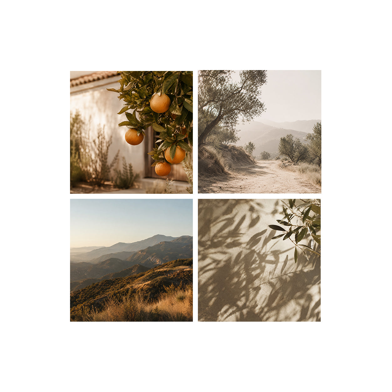 OJAI | Golden Valley Element Pack
