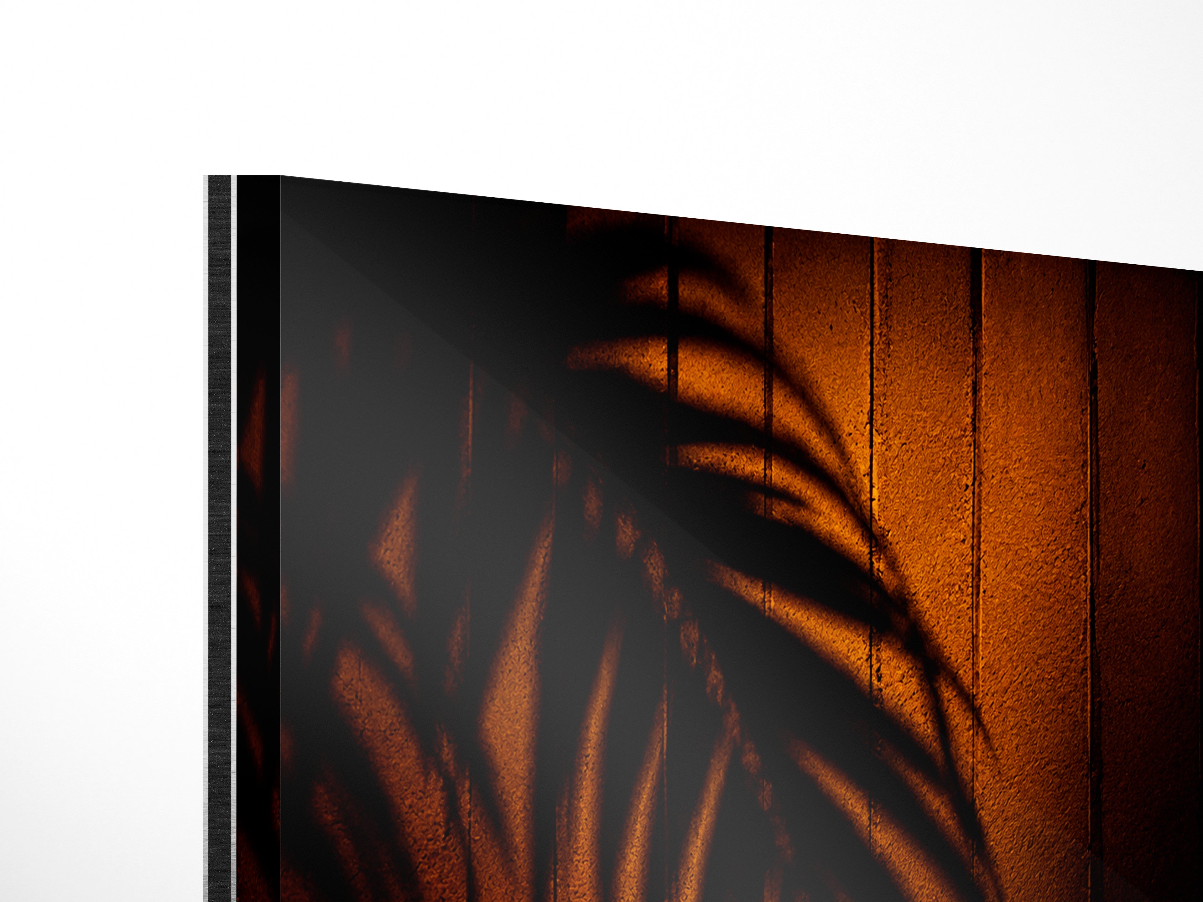Palm Shadow | Las Vegas No. 12