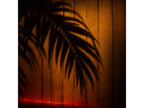 Palm Shadow | Las Vegas No. 12
