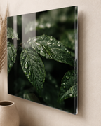 RAIN GARDEN | 4-Piece Acrylic Botanical Wall Art Set