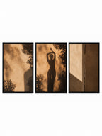 SHADOW DANCE | Framed Canvas Triptych