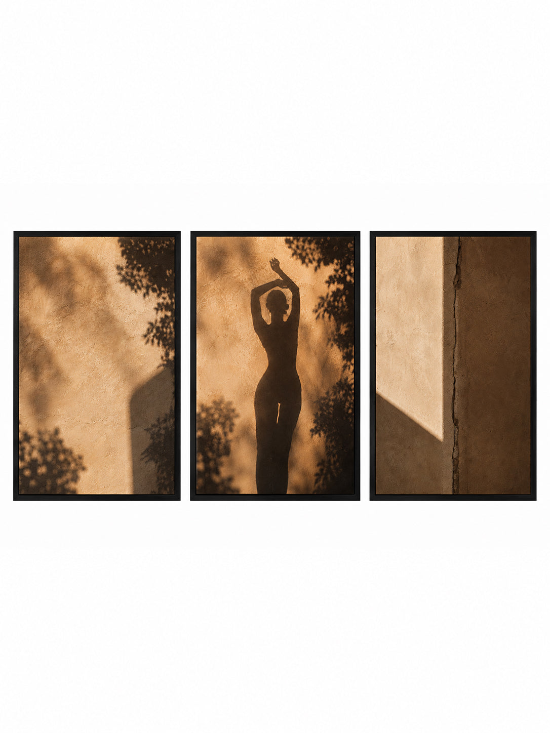 SHADOW DANCE | Framed Canvas Triptych
