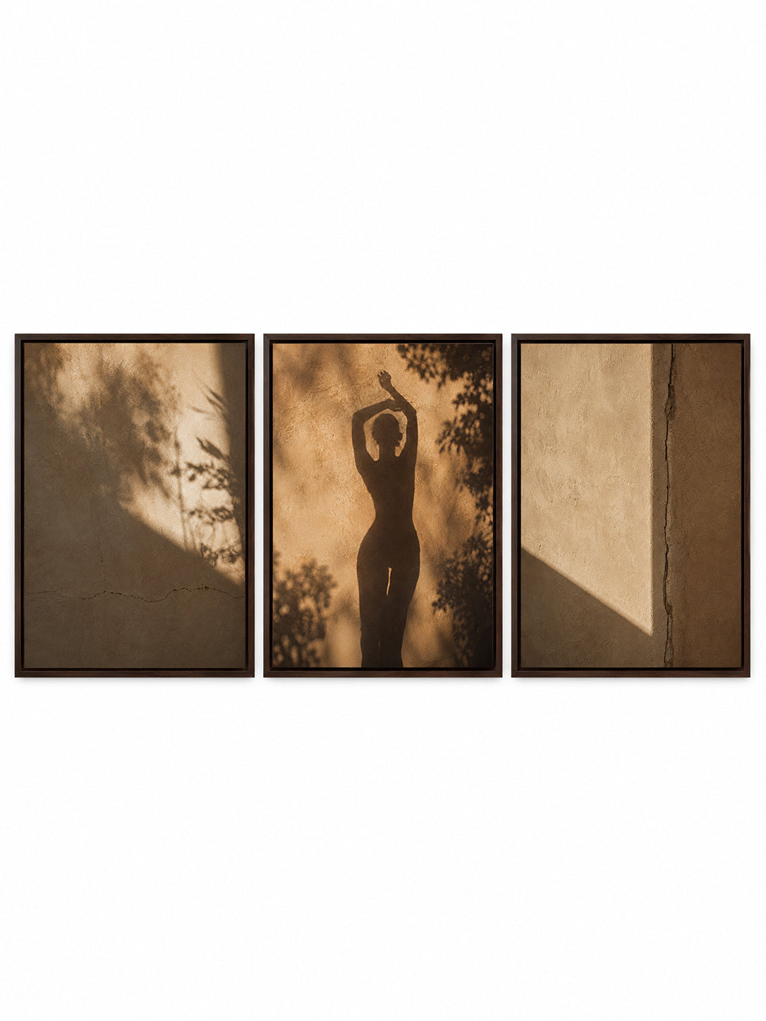 SHADOW DANCE | Framed Canvas Triptych