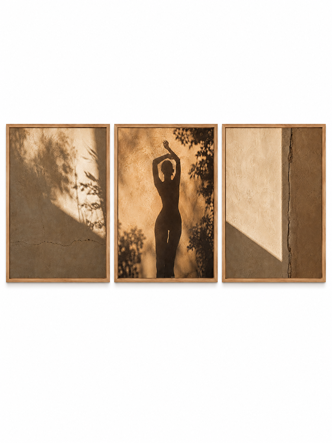 SHADOW DANCE | Framed Canvas Triptych