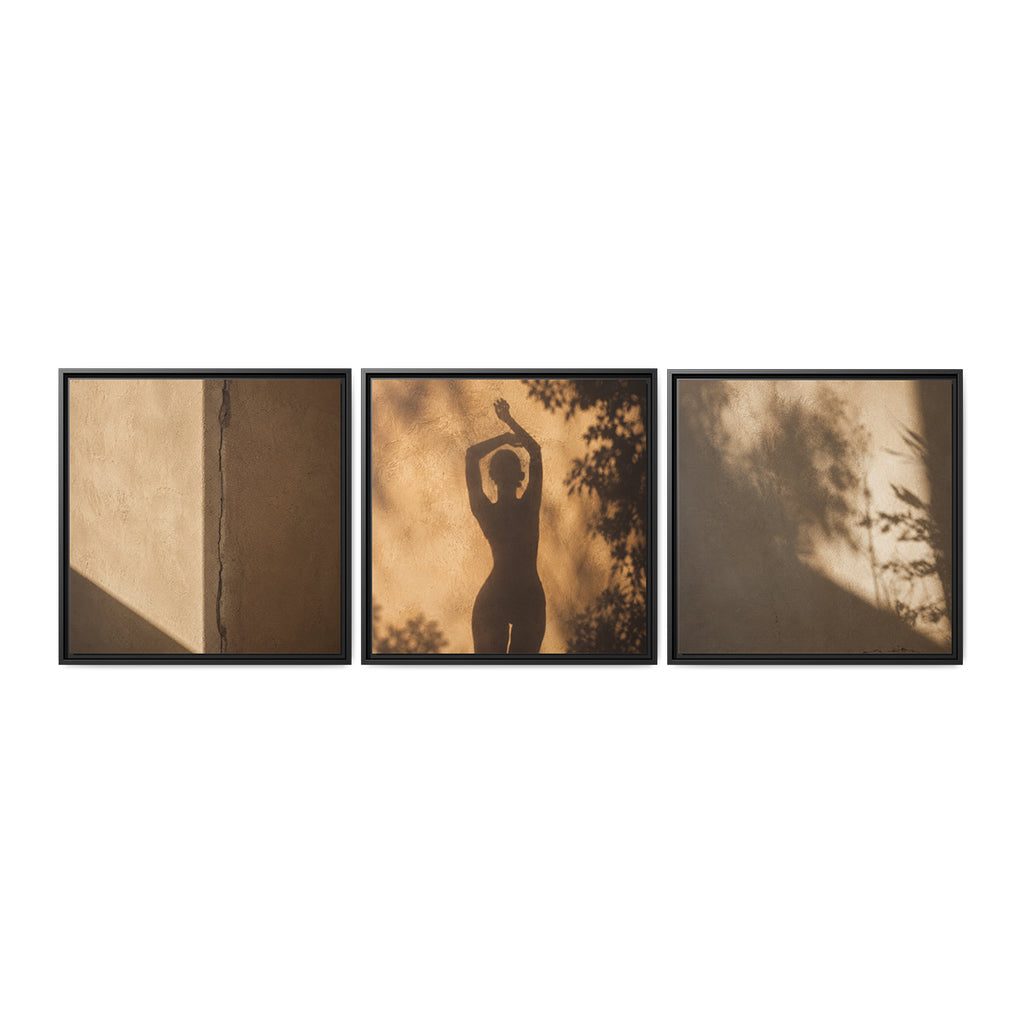 SHADOW DANCE | Framed Canvas Triptych