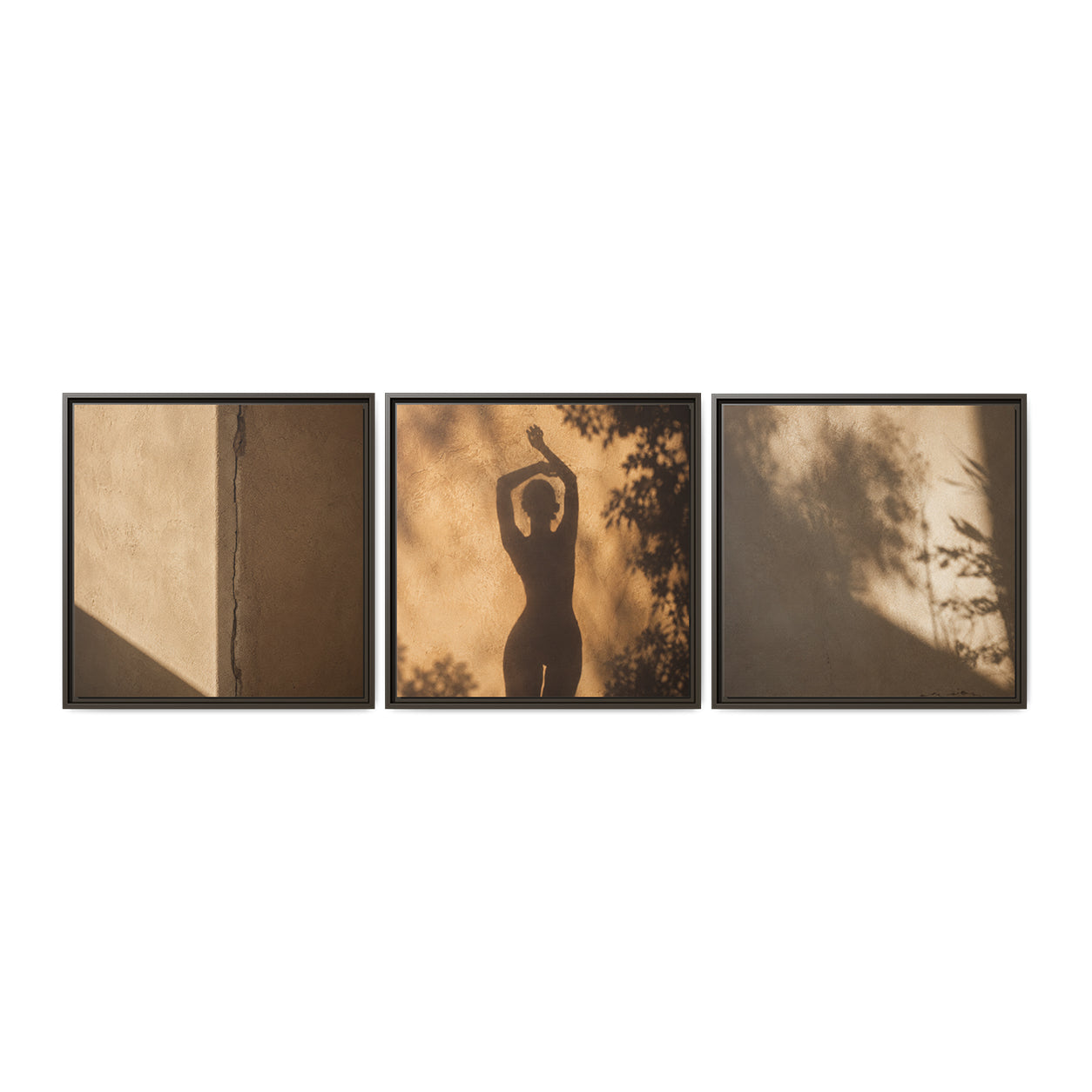 SHADOW DANCE | Framed Canvas Triptych