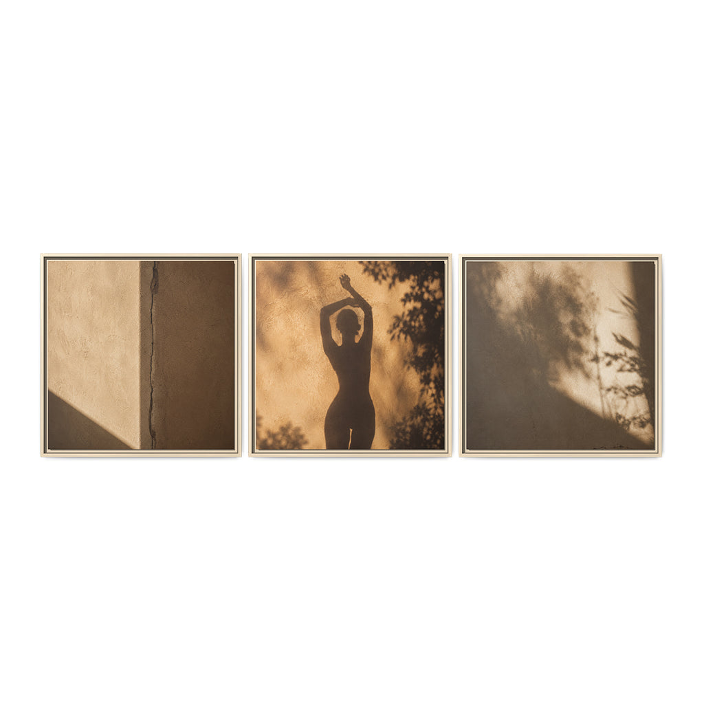 SHADOW DANCE | Framed Canvas Triptych