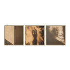 SHADOW DANCE | Framed Canvas Triptych