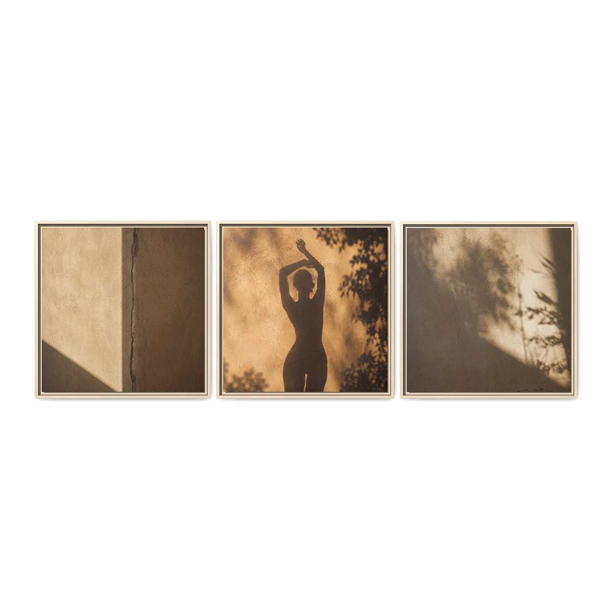 SHADOW DANCE | Framed Canvas Triptych