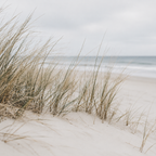 STILLWATER | Coastal Element Pack