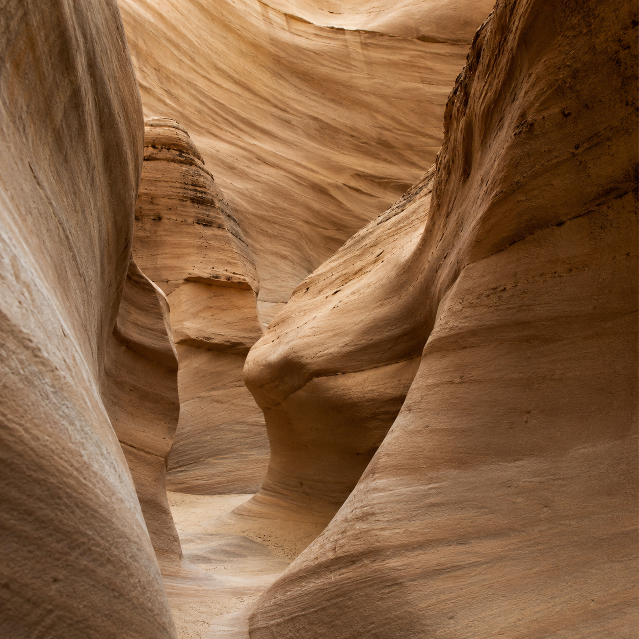 TERRA | Warm Desert Element Pack