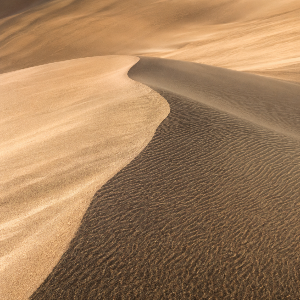 TERRA | Warm Desert Element Pack