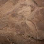 TERRA | Warm Desert Element Pack