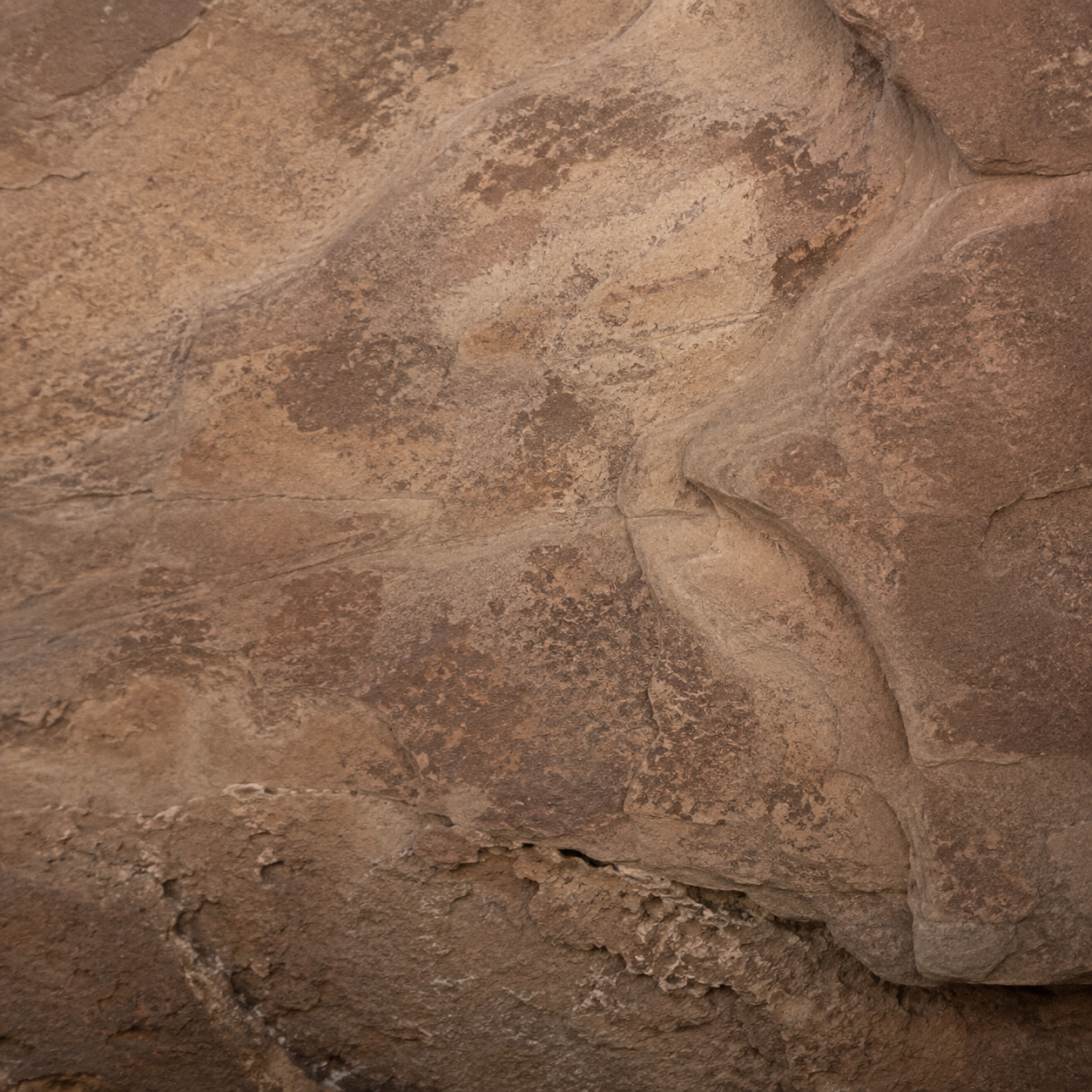 TERRA | Warm Desert Element Pack