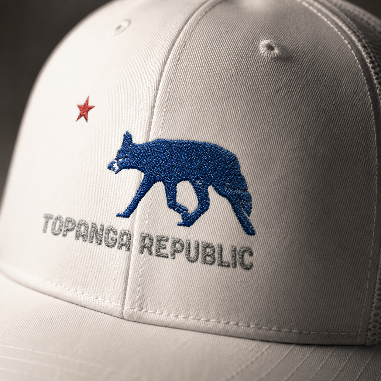 Topanga Republic 'Signature' Hat