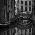 URBAN NOIR | Black & White City Element Pack