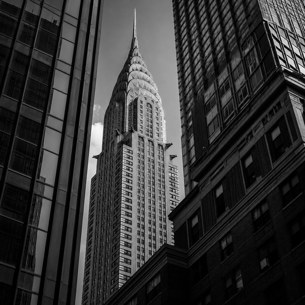 URBAN NOIR | Black & White City Element Pack